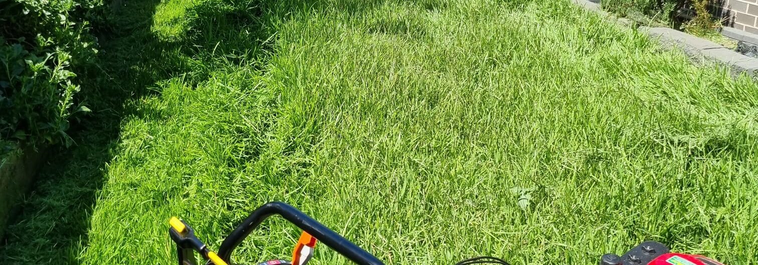 Lawn maintenance